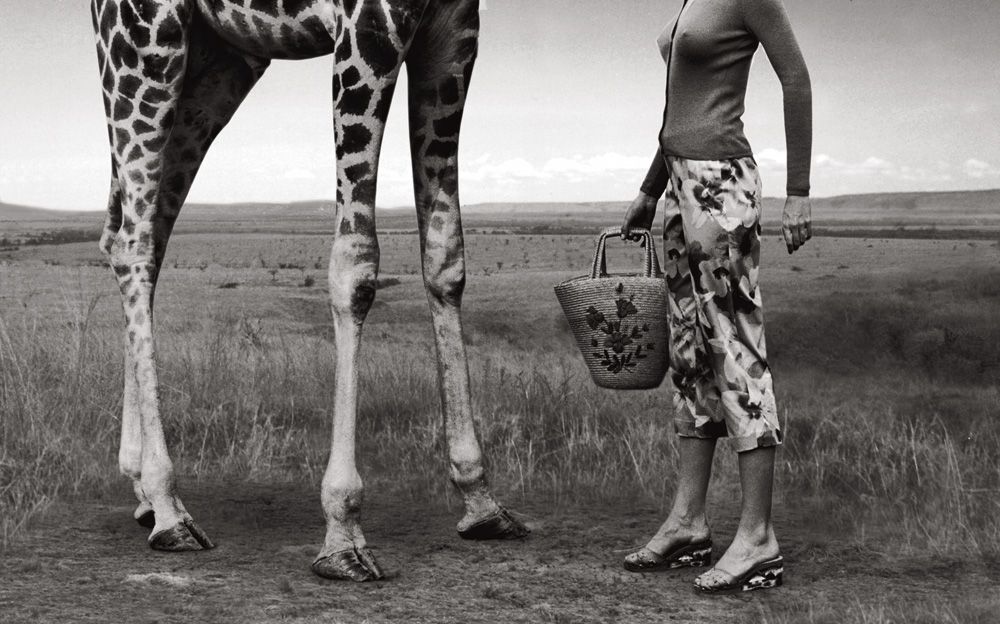 “All the technique in the world doesn’t compensate for the inability to notice.” – Elliott&nbsp;Erwitt