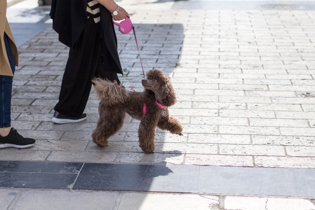 what day is it&nbsp;today