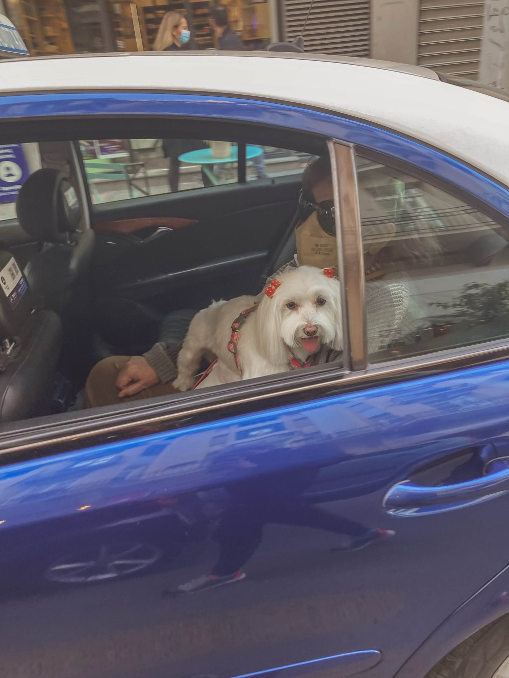 Walking Through Life